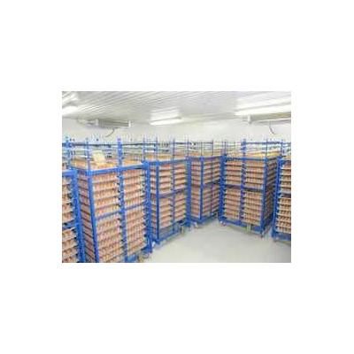 Холодильна камера Тривалого зберігання яєць (встановлення під ключ)